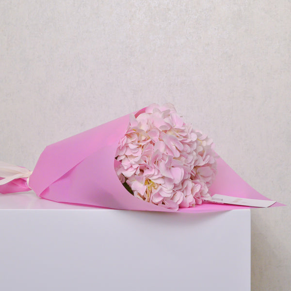 Mini Bouquet | Hydrangea | Pink - KKOCH