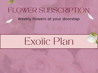 Exotic Plan