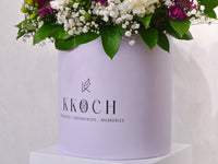 A Burst of Color - KKOCH