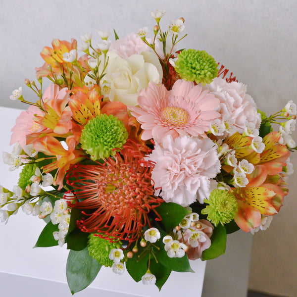 Beige Curved Vase | Small - KKOCH