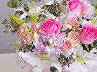 Lily Blush