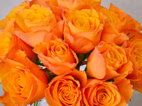 Sunset Orange | Fish Bowl - KKOCH