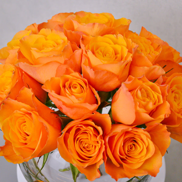 Sunset Orange | Fish Bowl - KKOCH