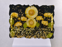 Preserved Tray - Pressed flower - KKOCH