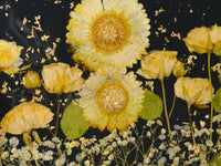Preserved Tray - Pressed flower - KKOCH