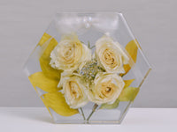Preserved white rose - Hexagon Shaped