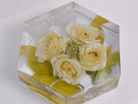 Preserved white rose - Hexagon Shaped