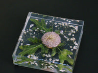 Eternal Blossom Block - Square