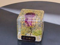 Eternal Bloom Cube - Round edge
