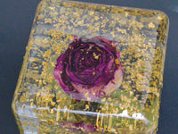 Eternal Bloom Cube - Round edge