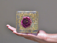 Eternal Bloom Cube - Round edge