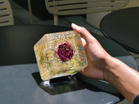 Eternal Bloom Cube - Round edge