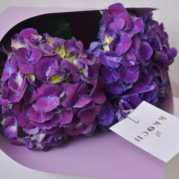 Mini Bouquet | Hydrangea | Purple - KKOCH