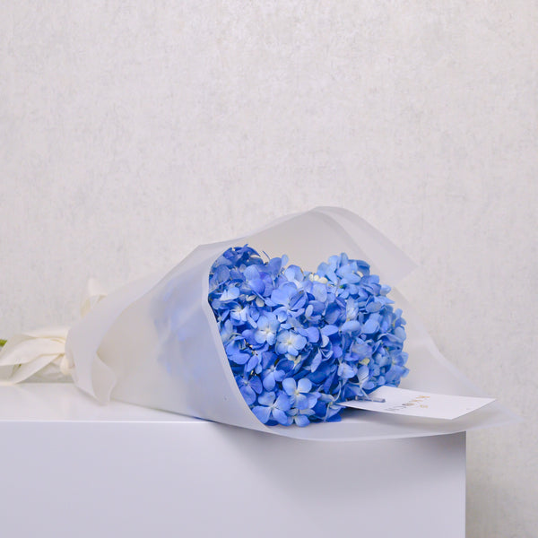 Hand Bouquet - Hydrangea - KKOCH