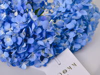 Hand Bouquet - Hydrangea - KKOCH