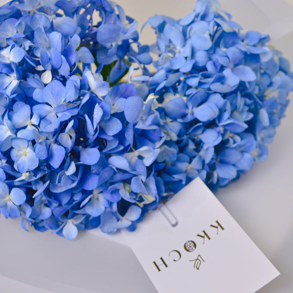 Hand Bouquet - Hydrangea - KKOCH
