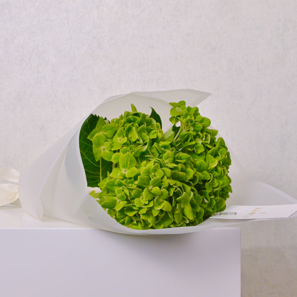 Hand Bouquet - Hydrangea - KKOCH