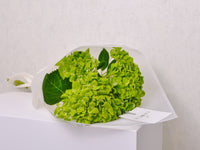 Hand Bouquet - Hydrangea - KKOCH