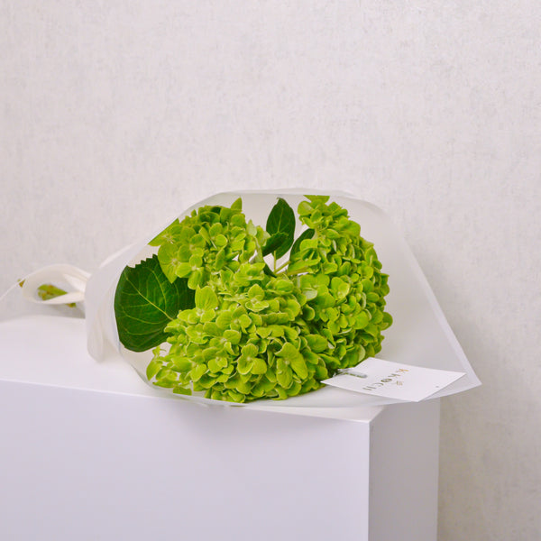 Hand Bouquet - Hydrangea - KKOCH