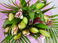Hand Bouquet | Pink Lilies - KKOCH