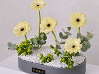 Golden Glow Gerbera Tray