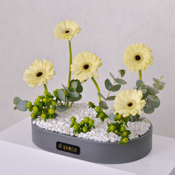 Golden Glow Gerbera Tray