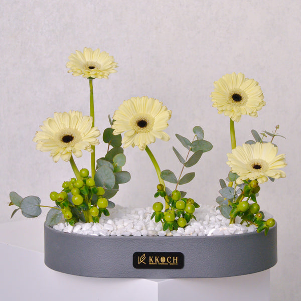 Golden Glow Gerbera Tray
