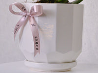 Jade Plant - KKOCH