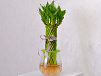 Spiral Bamboo - KKOCH