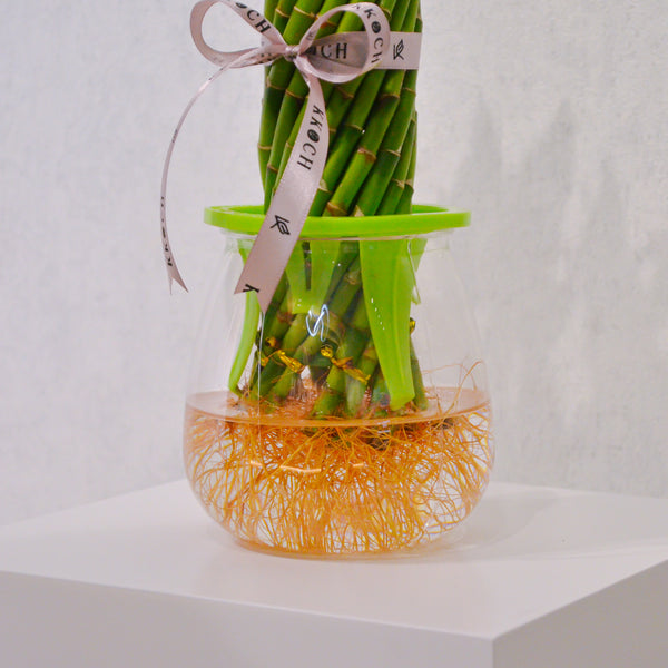 Spiral Bamboo - KKOCH
