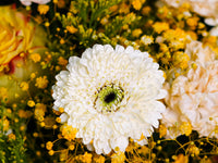 Midnight Sunshine - Standing Bouquet