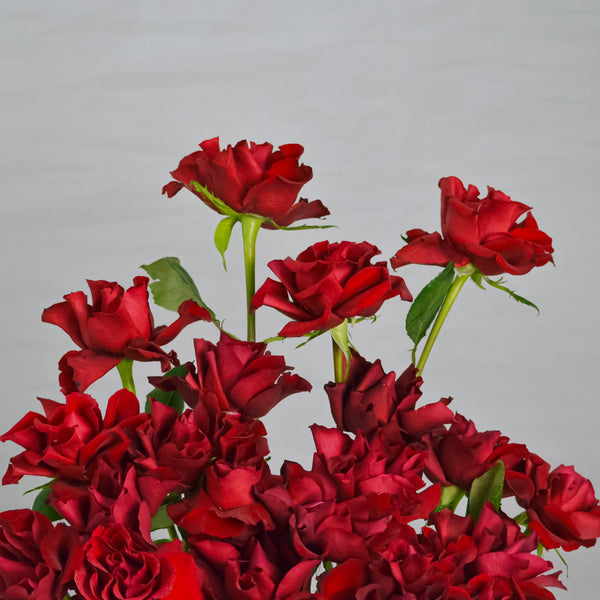 Crimson Charm - Vase