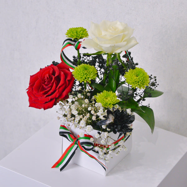 Patriotic Elegance - KKOCH
