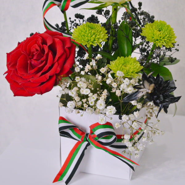 Patriotic Elegance - KKOCH