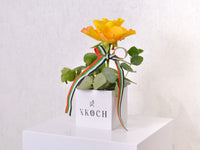 Golden Tribute - KKOCH