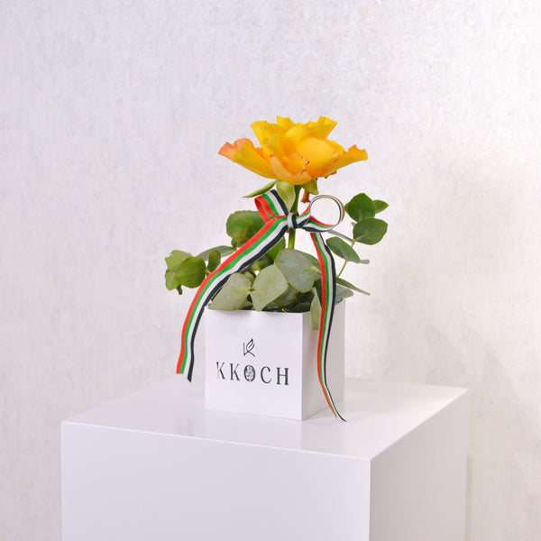 Golden Tribute - KKOCH
