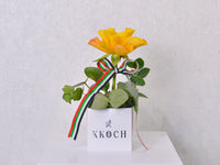 Golden Tribute - KKOCH