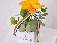 Golden Tribute - KKOCH