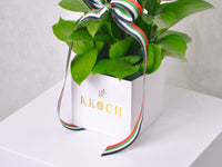 A Symbol of Strength - KKOCH