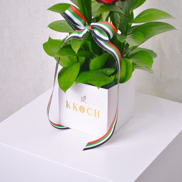 A Symbol of Strength - KKOCH
