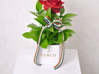 A Symbol of Strength - KKOCH