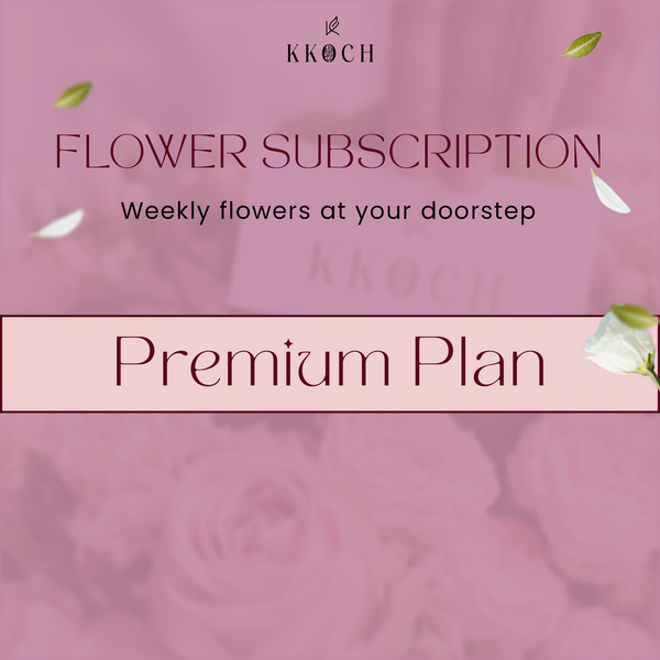 Premium Plan
