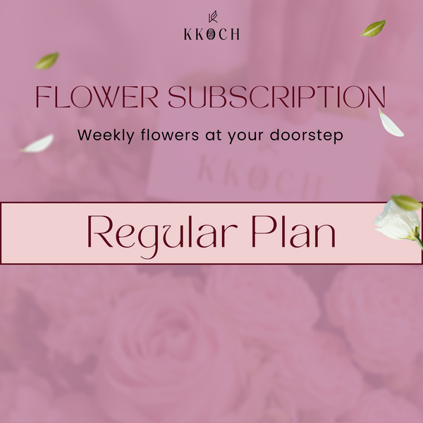 Regular Plan
